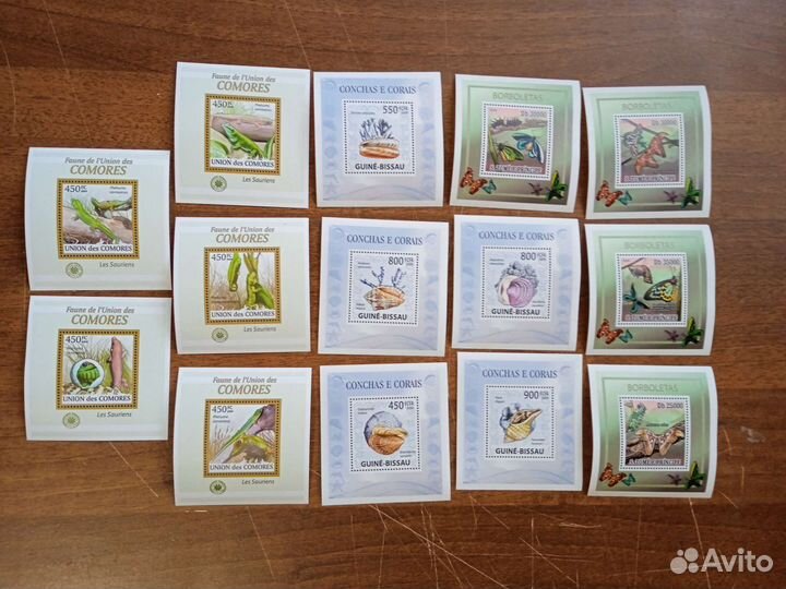 Чистые блоки фауна 2