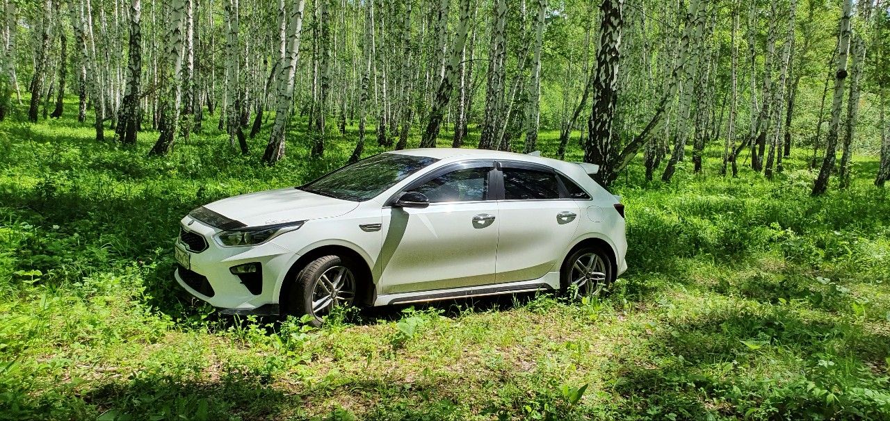 Kia Ceed: фото владельца