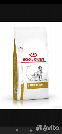 Сухой корм для собак