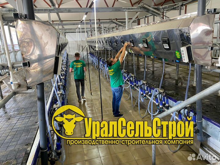 Доильный зал SCR Параллель и Ёлочка