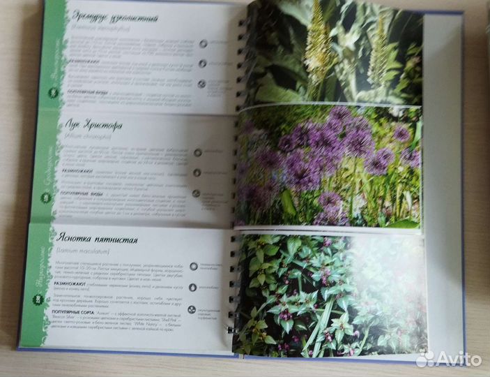 Книги в подарок