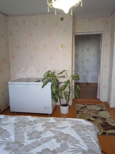 2-к. квартира, 53,2 м², 1/2 эт.