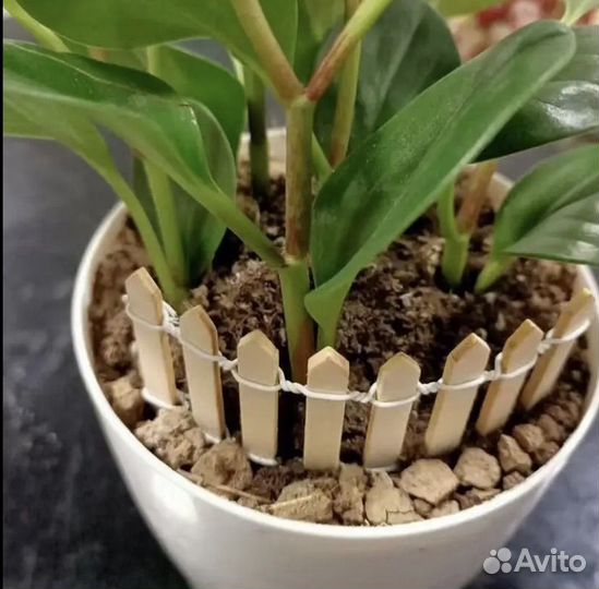 Все для флорариумов. Декоративный деревянный забор