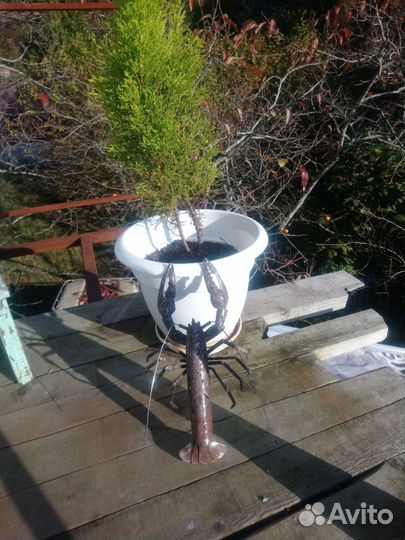 Рак из металла, сувенир, панно