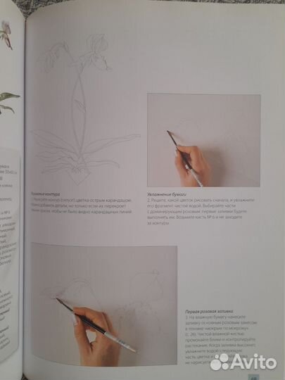Билли Шоуэлл.Акварельные портреты цветов