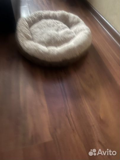 Продаю лежанку