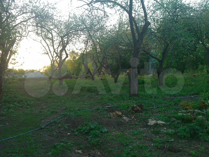 Дом 25 м² на участке 50 сот.