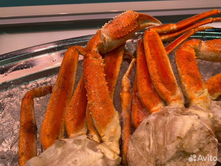 Клешни краба стригуна. 2023