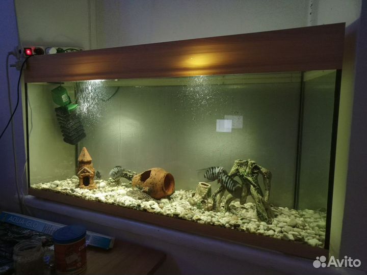 Аквариум
