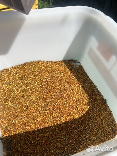 Пыльца пчелиная