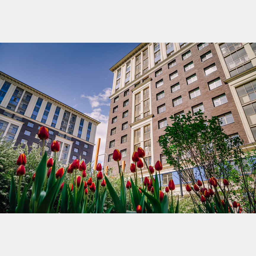 2-к. квартира, 96,9 м², 11/12 эт.