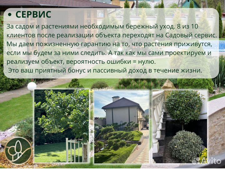 Франшиза 2024