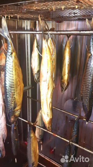 Копченая скумбрия