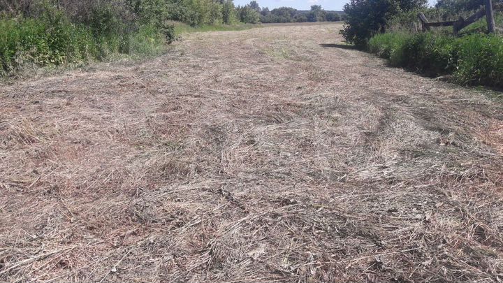 Участок 30 сот. (ИЖС)