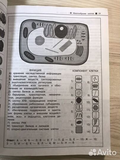 Справочник для подготовки к огэ И егэ по биологии