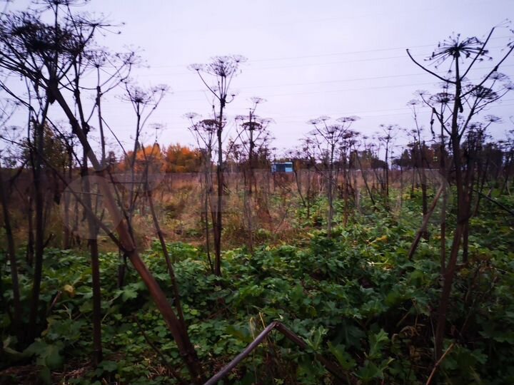 Участок 58,8 сот. (СНТ, ДНП)