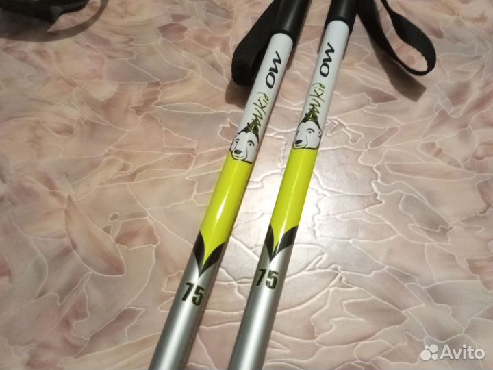 Лыжные палки