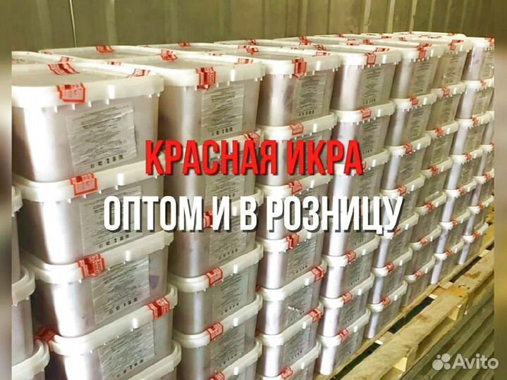 Икра Кеты опт