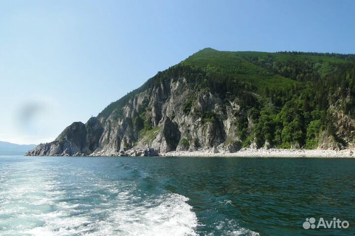 Тур по акватории Охотского моря. Навстречу китам