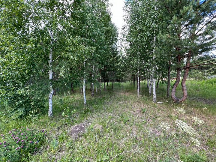 Участок 7,7 сот. (ИЖС)