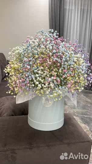 Гипсофила букет