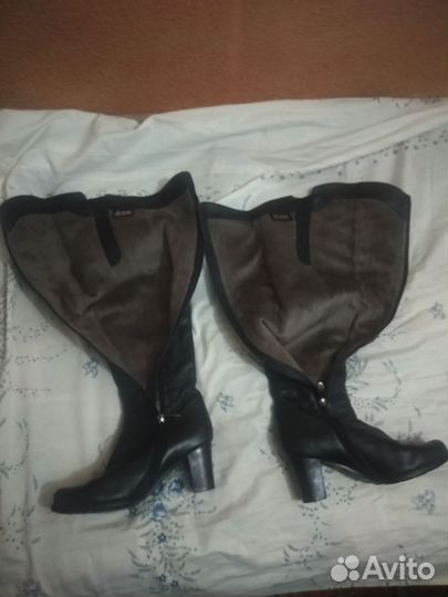 Женские сапоги ascalini