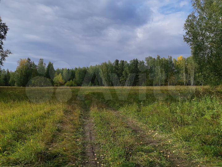 Участок 5,5 га (СНТ, ДНП)