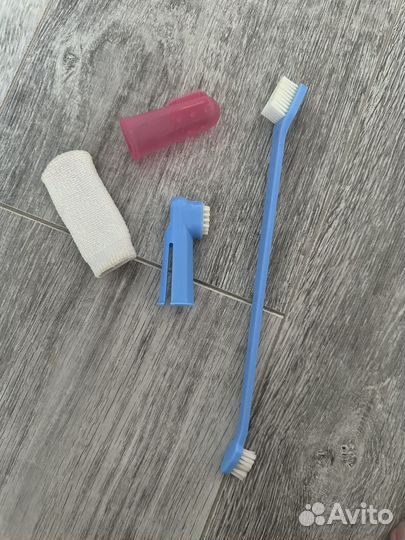 Для животных подгузники поводок зубная шетка