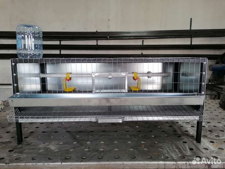 Клетки для перепелов