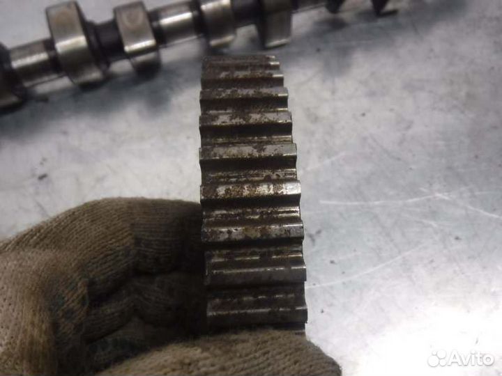 Шкив распредвала Лада Калина 21114 2007