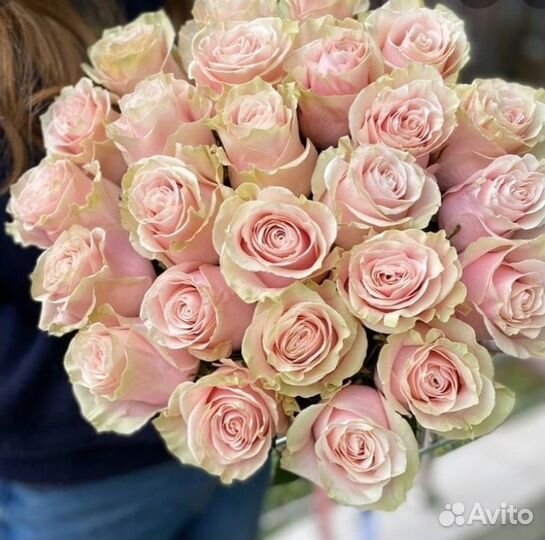 Цветы Розы Букет 25 роз Эквадор. Доставка 24/7