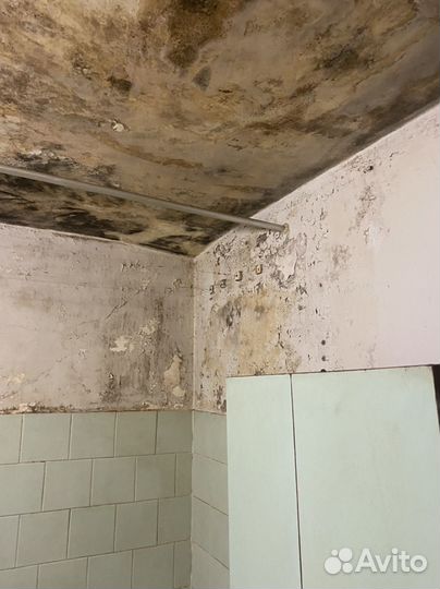 Уничтожение плесени