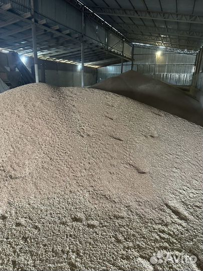 Зерно пшеница 3 класс