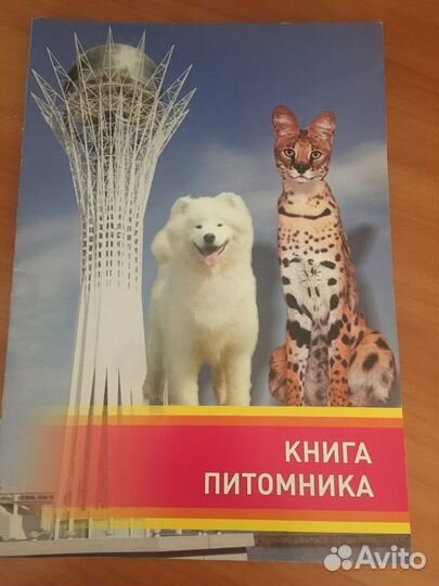 Игрушки для животных