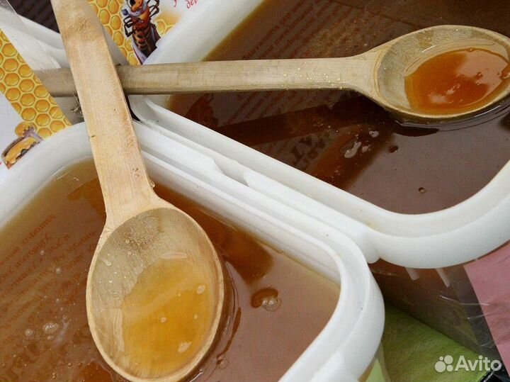 Липовый мед оптом
