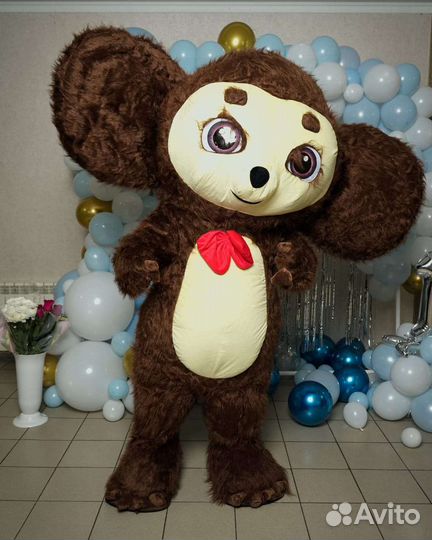 Поздравления от Чебурашки и мишки Тедди