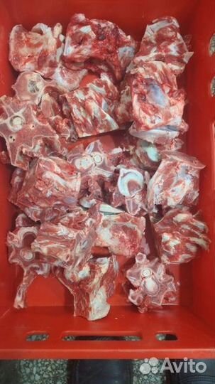 Косточки говяжьи, обрезь.для собак