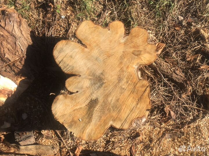 Спилы слебы