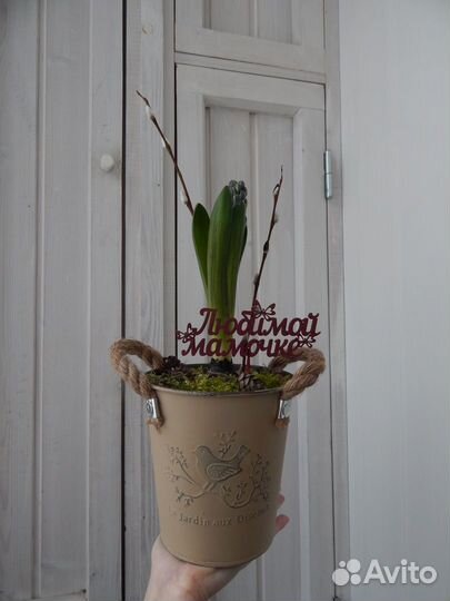 Горшки цветочные разные