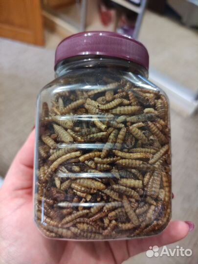 Корм для грызунов