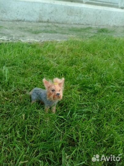 Собачка на отправку