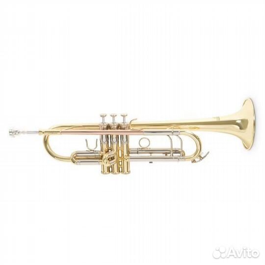 Труба Roy Benson TR-403 Bb