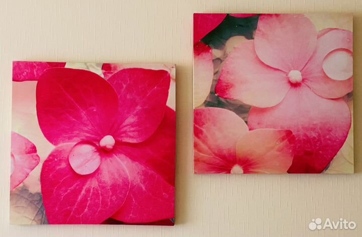 Картина дуплекс Орхидеи