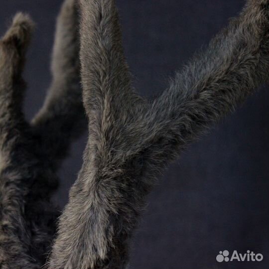 Таксидермия чучело головы косули имитация