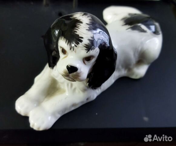 Спаниель лфз