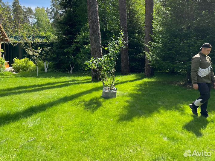 Рулонный газон от производителя под ключ