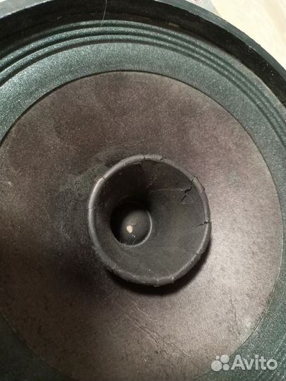 Динамики 10 гдш (небольшие отличия)