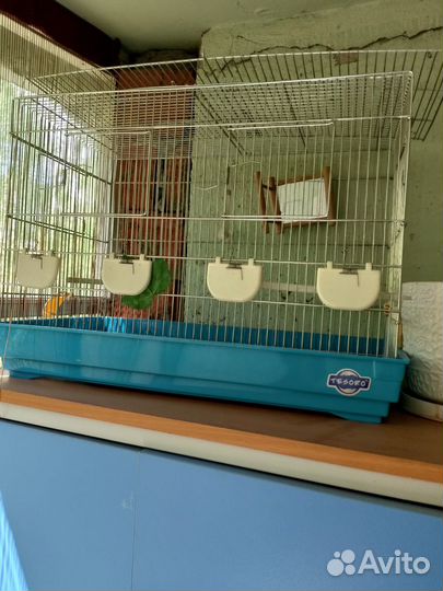 Клетка для птиц