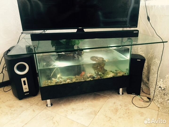 Аквариум