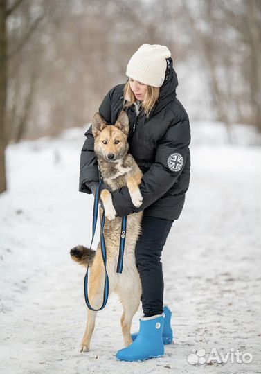 Девочка Лёха ищет дом